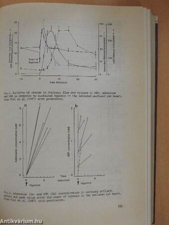 Cardiovascular Pharmacology '87