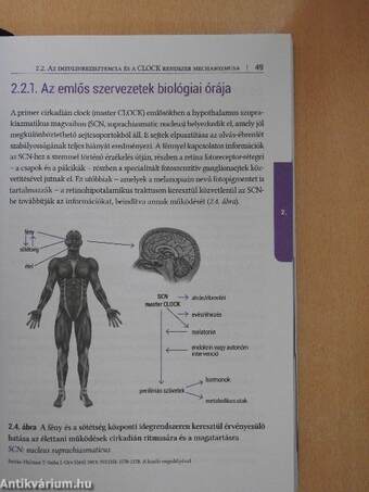 Az inzulinrezisztencia és klinikai vonatkozásai