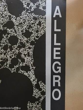 Allegro 1994/1.