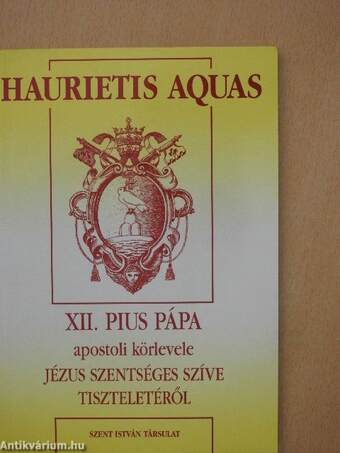 Új evangelizálás és Jézus szíve-kultusz/Haurietis Aquas/A Haurietis Aquas magyarázata