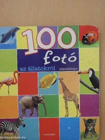 100 fotó az állatokról