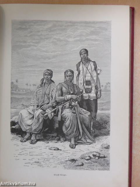 West-Afrika vom Senegal zum Kamerun (gótbetűs)