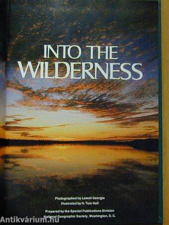 Into the Wilderness