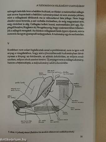 Bezárkózás a nemzeti hagyományba