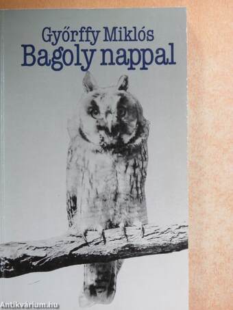 Bagoly nappal