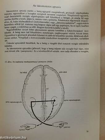 Neurológia, neuropszichológia