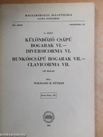 Különböző csápú bogarak VI. - Bunkóscsápú bogarak VII.