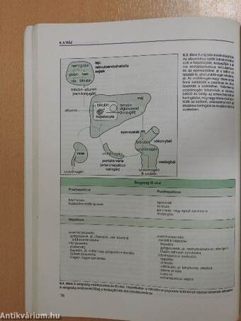 Klinikai kémia