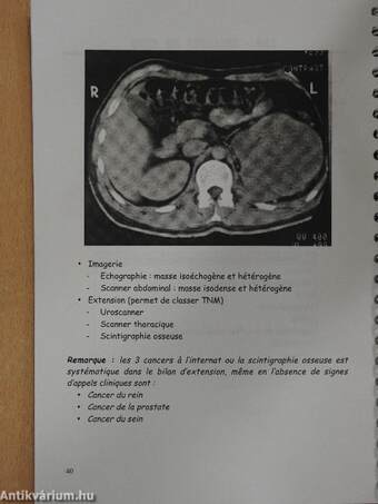 Nephrologie, Urologie