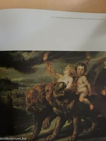 Rubens Medici-galériája