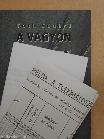 A vagyon