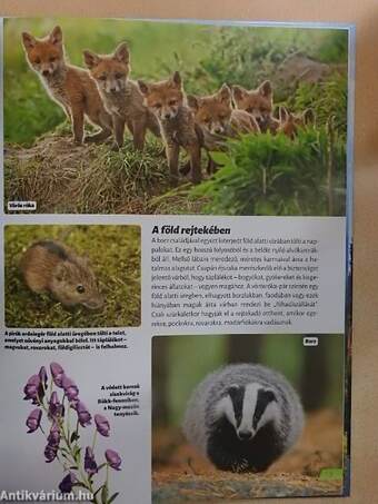 Magyarország nemzeti parkjai