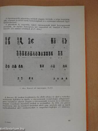 A human chromosoma-aberrációk jelentősége a klinikumban