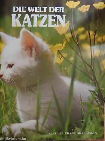 Die Welt der Katzen