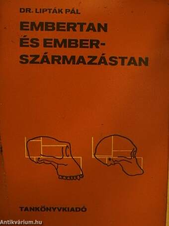 Embertan és emberszármazástan