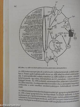 Növényélettani gyakorlatok