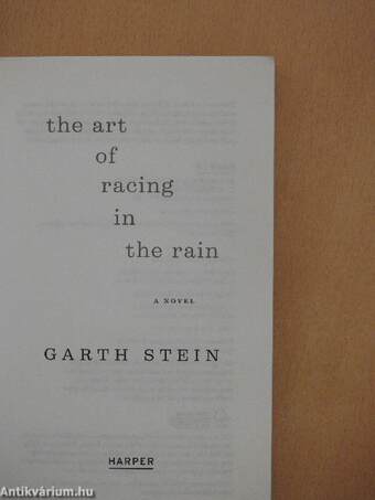 The Art of Racing in the Rain