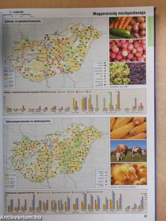 Képes földrajzi atlasz középiskolásoknak