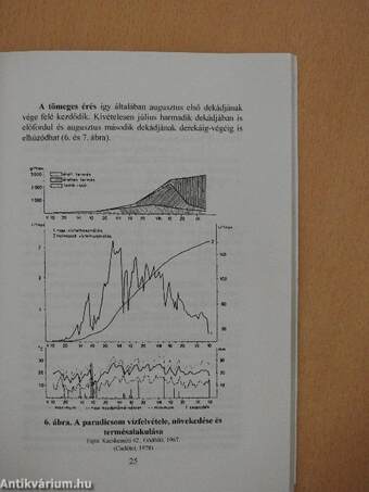 A paradicsomtermelés fejlesztése és fejlődése