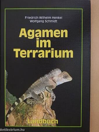 Agamen im Terrarium