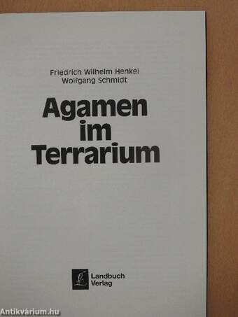 Agamen im Terrarium