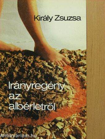 Irányregény az albérletről