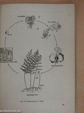 Biology II.