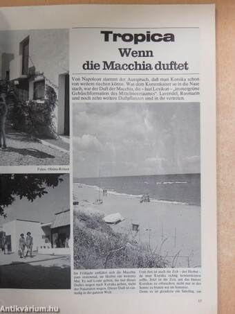 Sonnenfreunde September 1978