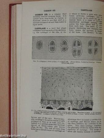 Black's Medical Dictionary