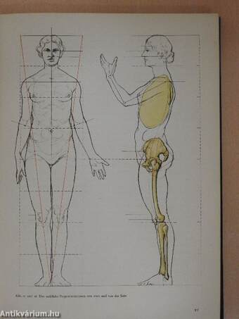 Künstleranatomie