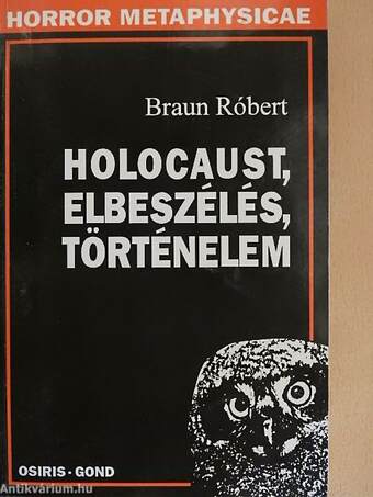 Holocaust, elbeszélés, történelem