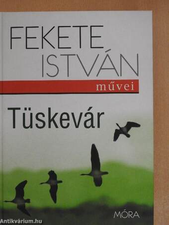 Tüskevár