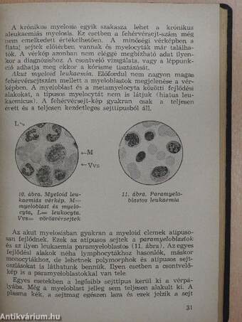 A gyakorló orvos laboratóriuma