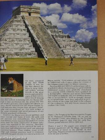 The Mayas and the State of Yucatan