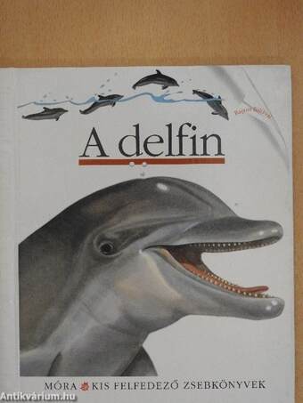 A delfin