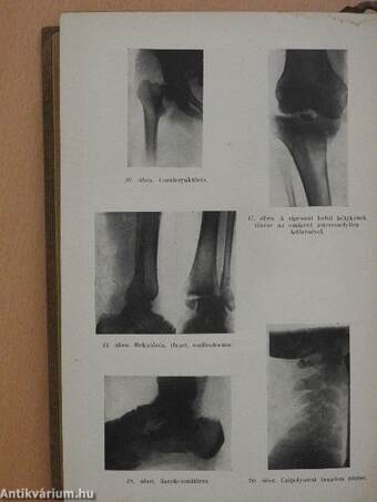 Klinikai diagnosztika I-II.