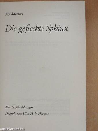 Die gefleckte Sphinx