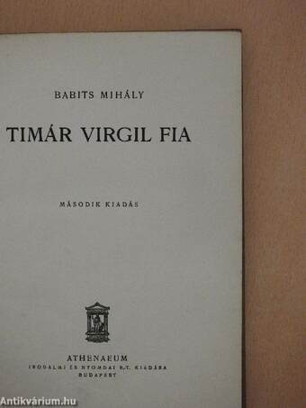 Timár Virgil fia