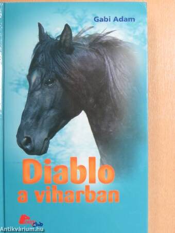 Diablo a viharban