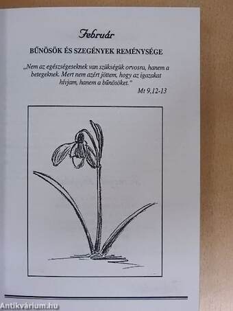 Reménység-naptár