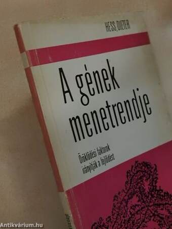 A gének menetrendje