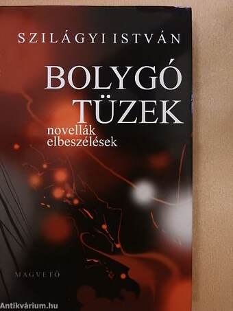 Bolygó tüzek