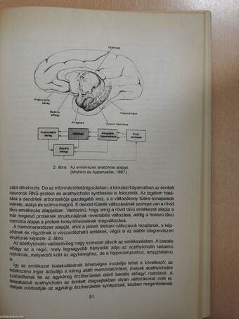 Organicus psychiatria az orvosi gyakorlatban (dedikált példány)