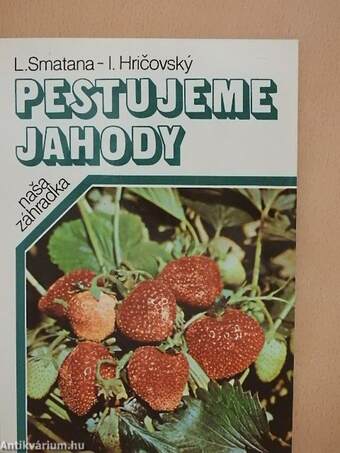 Pestujeme jahody