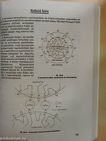 Tejgazdasági kézikönyv