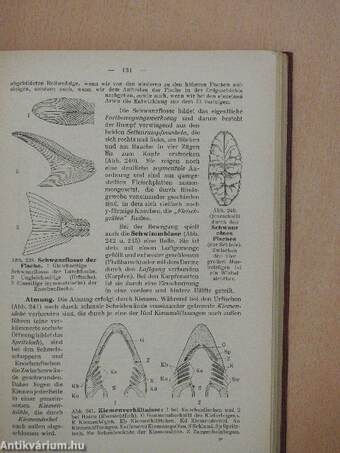 Leitfaden der Zoologie und Körperlehre