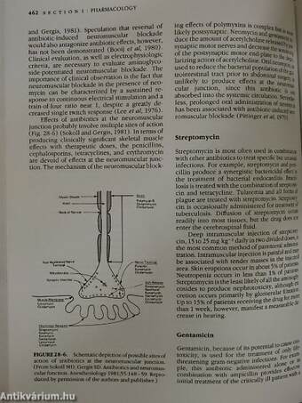 Pharmacology and Physiology in Anesthetic Practice