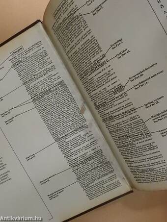 New Webster's Dictionary and Thesaurus of the English Language