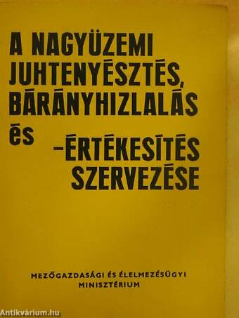 A nagyüzemi juhtenyésztés, bárányhizlalás és -értékesítés szervezése