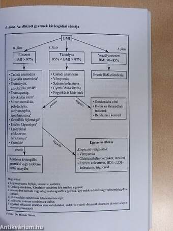 A kövérség és kísérőbetegségei